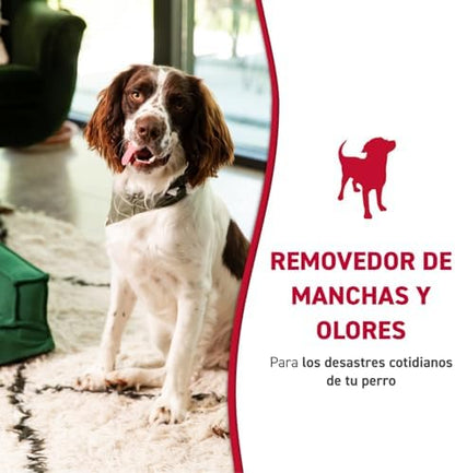 Nature’s Miracle Dog Stain & Odor Remover, Enzymatic Cleaner, 1 gal - Image 3