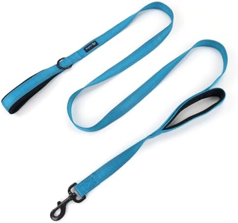 Wagtime Club Heavy Duty Double Handle Dog Leash for Large Medium Small Dogs by Waggin+Tails