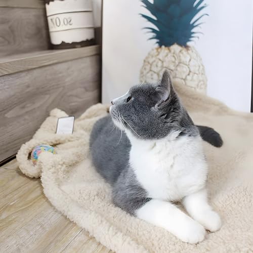 furrybaby Pet Blanket, Soft Warm Sherpa Fleece Bed Blanket for Small Pets - Image 3