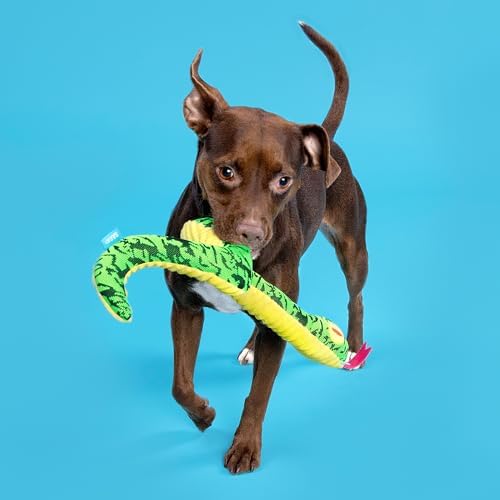 BarkBox Ssssssssteve Dog Toy - for Dogs - Image 7