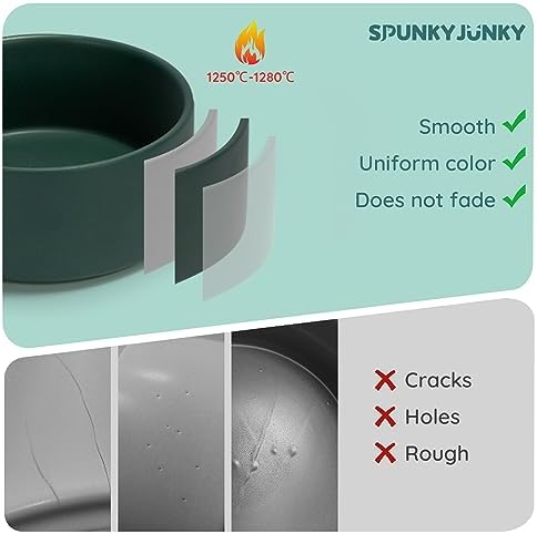 SPUNKYJUNKY 42OZ Ceramic Dog and Cat Bowl, Modern Cute Weighted Food Water Bowl for Replacement Green (1 Pack) - Image 4
