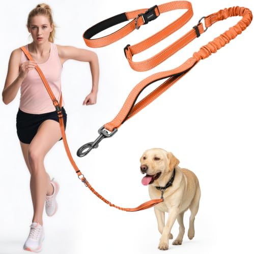 Hands Free Dog Leash by Kazazoo, Adjustable 5.8-8.5FT Heavy Duty Bungee Waist Leash, Reflective Stitches & Quick Off Bucklefor Walking, Jogging,Medium to Large Dogs Up to 150 lbs M Size Orange by Kazazoo