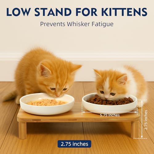DoogCat Raised Cat Bowls, Bamboo Stand with 2 Ceramic Bowls - Image 3