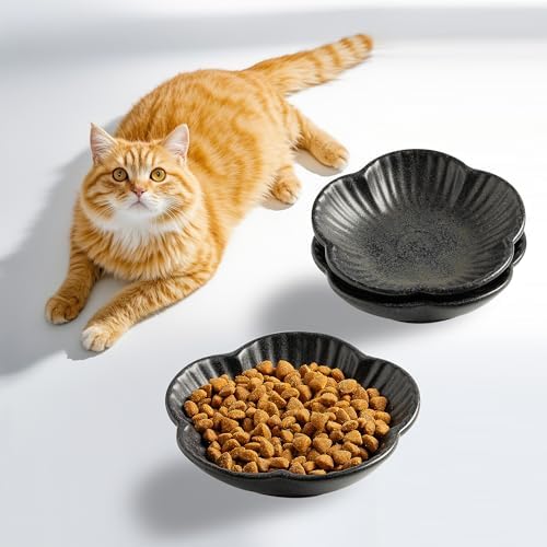 Mecaikru Ceramic Cat Food Bowls, Whisker Friendly Shallow Plates Set of 3 by Mecaikru