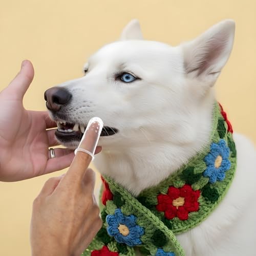 10 Pieces Dog Finger Tooth Brushing Kit, Finger Toothbrush for Cat Dogs Puppy Kitten Fingers Toothbrushs with Silicone Bristles Cat Teeth Cleaning Brush Pet Dental Care & Teeth Cleaning for All Pets - Image 4