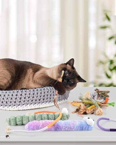 Bissap 20PCS Silvervine Chew Sticks, Catnip Chewing Toy for Cat Kitten - Image 5