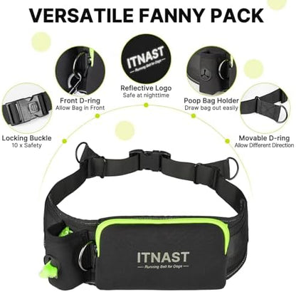 Hands Free Dog Leash for 2 Dogs, Waist Support Padded Bungee Dog Running Leash with Reflective Stitching for Walks, Jogging, Running, Hiking, and Dog Training - Image 6