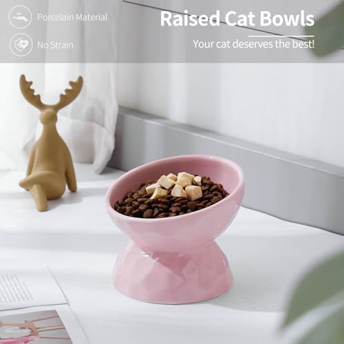 5 Inch Tilted Raised Cat Bowls, Ceramic Elevated Pet Food Water Bowl Set - Image 2