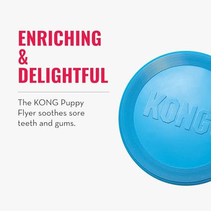 KONG Puppy Flyer, Soft Rubber Flying Disc Toy, for Small Puppies, Blue - Image 5