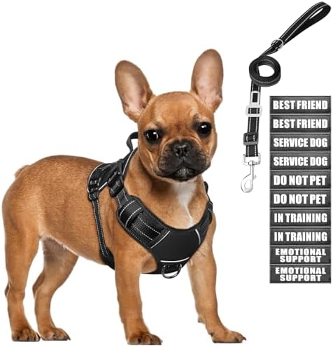 Tactical Dog Harness and Leash Set Small Sized Dog+10 Dog Patches by MOOGROUPETSFRIEND