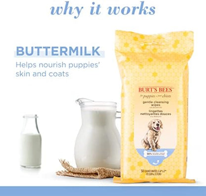 Burts Bees for Pets Gentle Cleansing Puppy Wipes, Buttermilk, 50 Ct, 6-Pk - Image 2