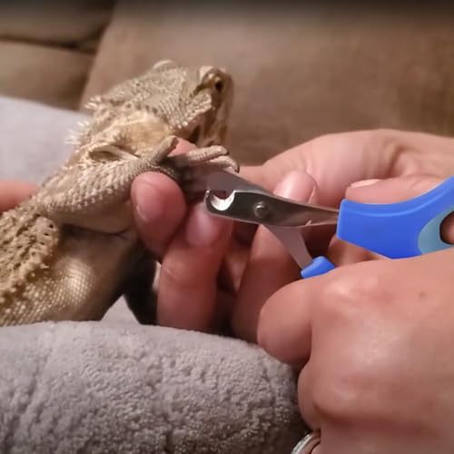 KEUYE Bearded Dragon Nail Clippers,Stainless Steel Bearded Dragon Toe Nail Clippers with Precise Angled Edges (Blue) - Image 7