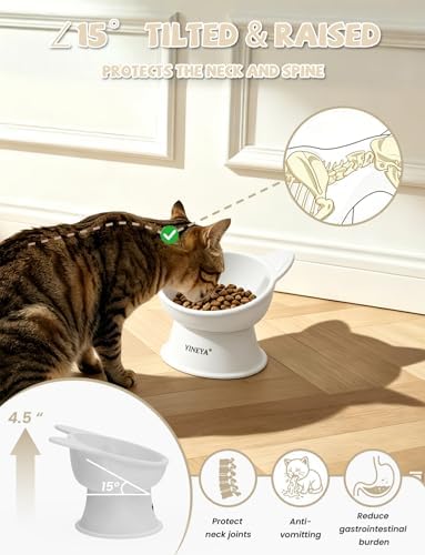 YINEYA Cat Bowls, Cat Food Bowl Elevated to Protect Neck & Anti-Vomit, Whisker-Friendly Raised Food & Water Bowls for Indoor Cats/Small Dogs, Cute Pet Feeding Bowl 6 OZ Each, Dishwasher Safe, White - Image 2