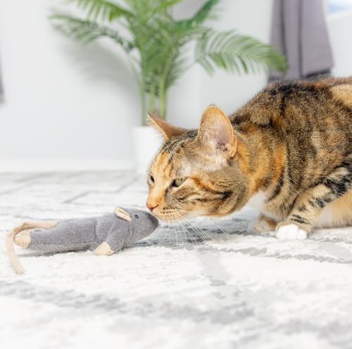 SPOT Flat Mouse Frankie with Catnip - Cat Toy, Fuzzy Mice with Catnip and Crinkle Sound, Perfect Size for Pouncing on, Chasing, Hunting - 5.5in Plush Toys, Assorted Colors (Pack of 2) - Image 4
