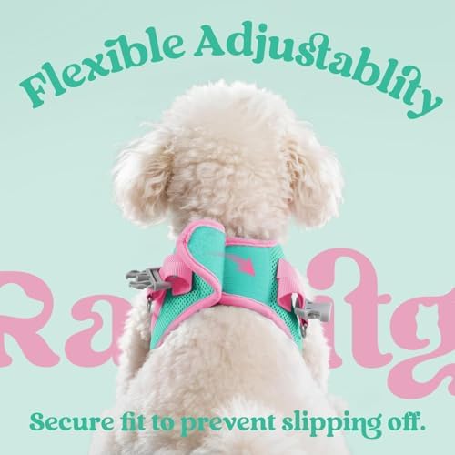 rabbitgoo Dog Harness Small Sized and Leash Set, Step in Soft Vest - Image 6