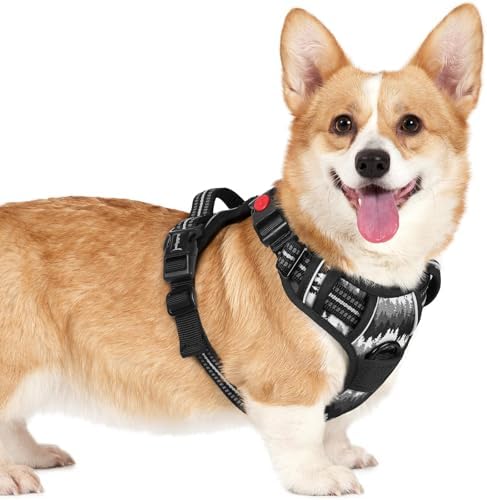 rabbitgoo Dog Harness Small Sized, Updated Easy On & Off with 3 Buckles by rabbitgoo