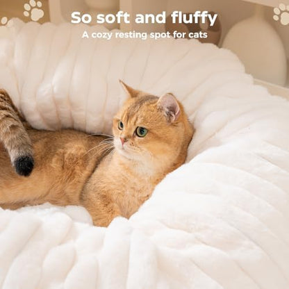 Avont Cat Tunnel Bed for Indoor Cats, Beige - Image 3