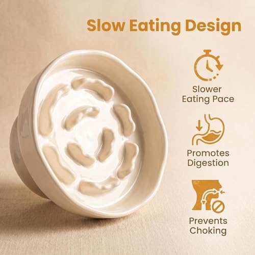 Vexilion pet Elevated Raised Slow Feeder cat Food Ceramic Bowl for Small Dogs for Dry and Wet Food - Image 4