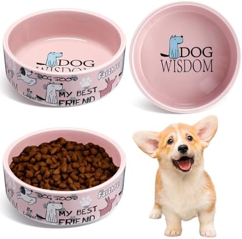Maxcheck 2 Pcs 5 Inch Ceramic Dog Bowls Dishes for Small Dogs, Pink by Maxcheck