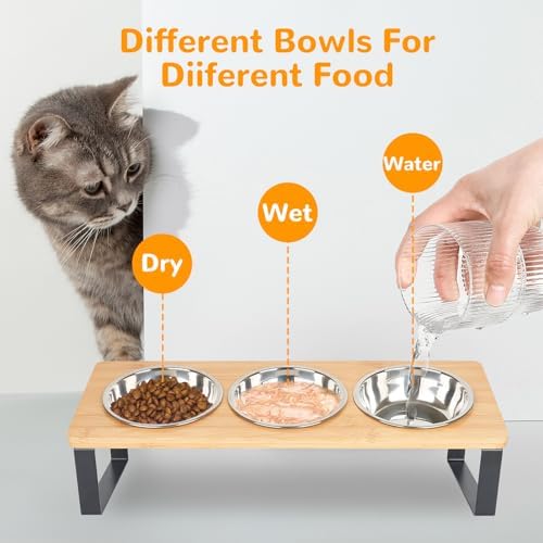 Elevated Cat Bowls with 3 Stainless Steel, 15° Tilted Raised Cat Bowl Set, for Indoor Cats for Small Cats and Puppies Pet Bowls with Stand - Image 5
