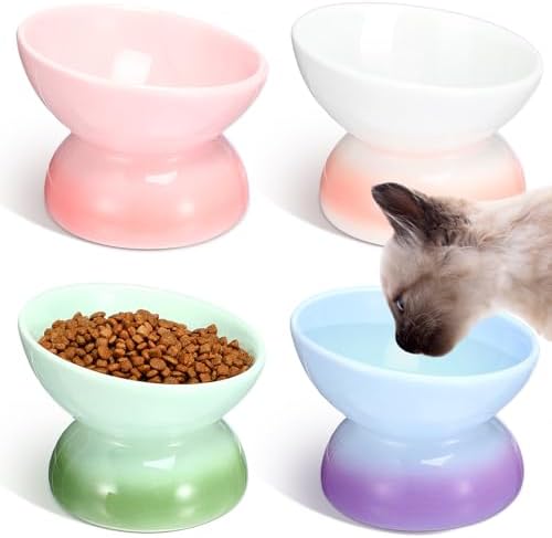 Hushee 4 Pcs Ceramic Raised Cat Food Bowls Elevated Tilted Dish Anti Vomiting Food or Water Bowls Pet Supplies by Hushee