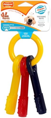 Nylabone Puppy Chew Teething Keys Dog Chew Toy, Bacon Flavor, Medium by Nylabone