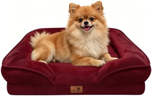 Spotted Play Orthopedic Dog Bed with Sides - Sofa Beds for Small Dogs, Supportive Foam Pet Couch Bed with Washable Removable Cover, Waterproof Lining and Non-Slip Bottom, Burgundy - S by Spotted+Play
