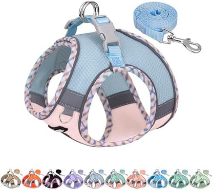AIITLE XXS Dog Harness & Leash Set with Reflective Design, Blue-Pink XXS by AIITLE-FORPETSBETTERLIFE