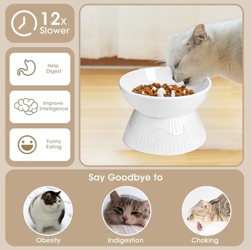 Raised Cat Slow Feeder, Ceramic Slow Feeder Cat Bowl, Upgraded Ridges to Prevent Vomiting and Indigestion, No Spill High Edge for Dry/Wet Food, Heavy and Stable, Easy to Clean Pet Bowls - Image 2