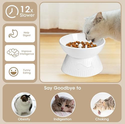 Raised Cat Slow Feeder, Ceramic Slow Feeder Cat Bowl, Upgraded Ridges to Prevent Vomiting and Indigestion, No Spill High Edge for Dry/Wet Food, Heavy and Stable, Easy to Clean Pet Bowls - Image 2