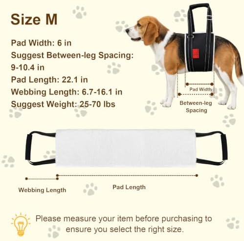Dog Lift Harness - Adjustable Sling for Rear Legs with Soft Support for Senior, Injured, Disabled Dogs After ACL Surgery - Helping Pets with Canine Aid and Rehab Support (M) - Image 4