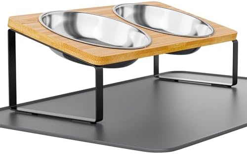Elevated Whisker Friendly Cat Bowls, 15 Tilted Stand Anti Vomiting Raised Dishes for Food and Water, Stainless Steel Bowls for Cats and Puppy by Summark