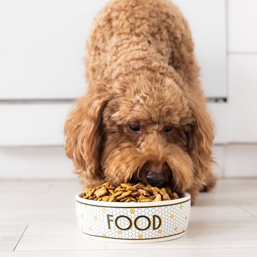 Pearhead Ceramic Dog Bowl, Small/Medium 2.25 Cups/ 18 oz, Bistro Tile - Image 5