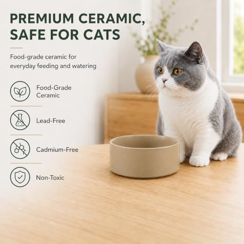 Havniva Cat Bowls Set of Two, 5.1” Ceramic Cat Food Bowls, Cat Water Bowl - Image 4
