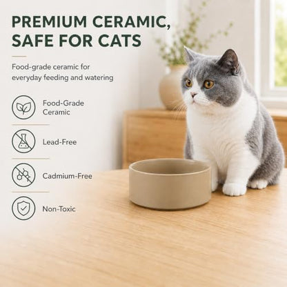 Havniva Cat Bowls Set of Two, 5.1” Ceramic Cat Food Bowls, Cat Water Bowl - Image 4