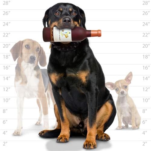 SILLY SQUEAKERS-Wine Bottles - Dog Toy - 100% Vinyl. Made Durable & Strong. Novelty Play Toy. Many Bottles to Choose from and They Floats (Groobert Slobbery, Single)