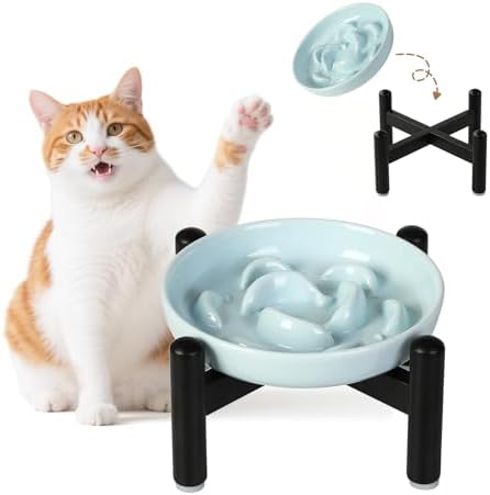 Elevated Ceramic Slow Feeder Cat Bowl, 6.3'' Wide Whisker Friendly by PTOBER