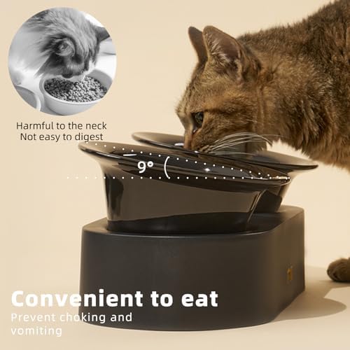 MS!MAKE SURE Raised Cat Bowls Set - Ceramic Dishes with Non-Slip Stand, 9° Tilted, Lead & Cadmium Free, for Small Dogs and Cats, 6.5" Wide - 2 x 320ML (10.8 oz), Black - Image 5