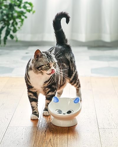 Raised Cat Food Bowl Ceramic 15° Tilted Cat Food Bowls Protect Cat's Spine Anti Vomiting Backflow Prevention Bowls for Adult Cats, Kitten, and Small Dogs, Blue - Image 4