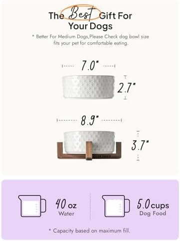 LE TAUCI Ceramic Dog Bowls for Large Dogs - 7" Elevated Water Bowl with Acacia Wood Stand, Single Pet Bowl Set for Food & Water, Clover - Image 3