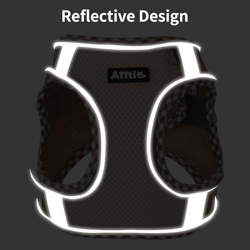 AIITLE Small Dog Harness and Leash Set with Strong Magic Tape, Sage XS - Image 2