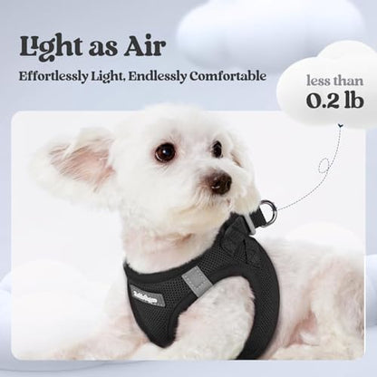 rabbitgoo Dog Harness Medium Sized and Leash Set, Step-in Puppy Pet Vest - Image 3
