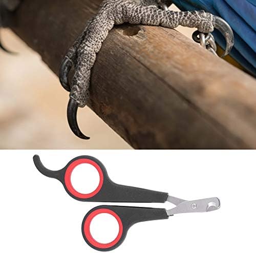 Animal Nail Scissors,Bird Nail Scissors,Beak Trimmer for Birds Pet Bird Small Animals Accessory Grooming Tool,Nail Scissors Clipper Black and Red - Image 4