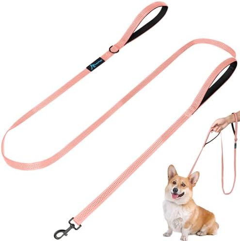 Dog Leash for Small to Medium Dogs 6 ft x 0.6" with 3 Reflective Stitching and 2 Traffic Padded Handles Dog Lead/Rope, Pet Leash for Running Walking Training (Pink 1 Pack - 6 ft x 0.6 in) by PuppyDoggy