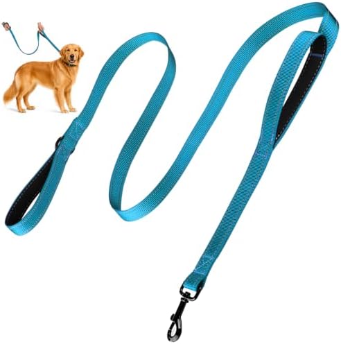 Dual-Handle Dog Leash 6FT, Heavy Duty Nylon with Reflective Threads,Blue by HOSCAPE