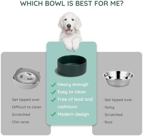 SPUNKYJUNKY 42OZ Ceramic Dog and Cat Bowl, Modern Cute Weighted Food Water Bowl for Replacement Green (1 Pack) - Image 6
