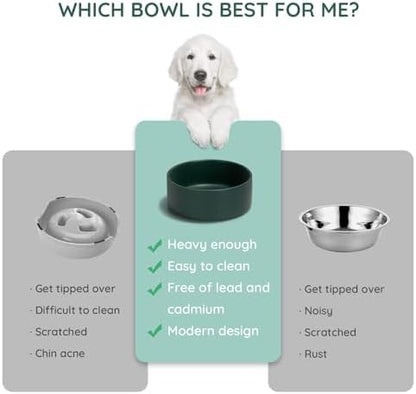 SPUNKYJUNKY 42OZ Ceramic Dog and Cat Bowl, Modern Cute Weighted Food Water Bowl for Replacement Green (1 Pack) - Image 6