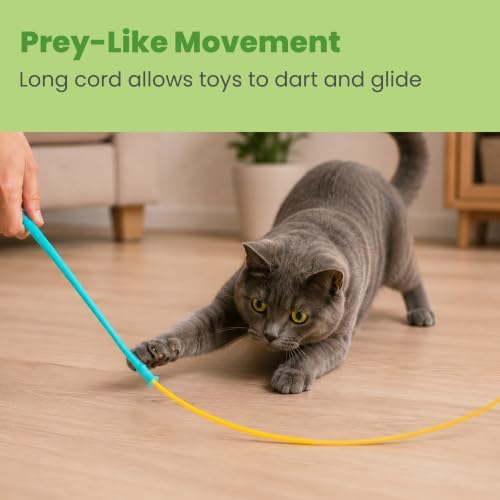 Catstages Flutter Frenzy Prey Wand Set Cat Toy for Cats & Kittens, 2 Interchangeable Attachments, Prey-Like Tail & Plush Bird on Stretchy Cord - Image 4