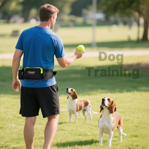 Hands Free Dog Leash for 2 Dogs, Waist Support Padded Bungee Dog Running Leash with Reflective Stitching for Walks, Jogging, Running, Hiking, and Dog Training - Image 7