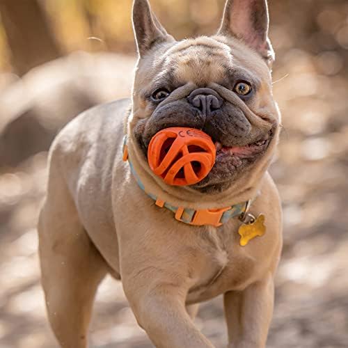 Chuckit! Air Fetch Ball, Small 2in, for Dogs 0-20lbs, 2 Pack - Image 4